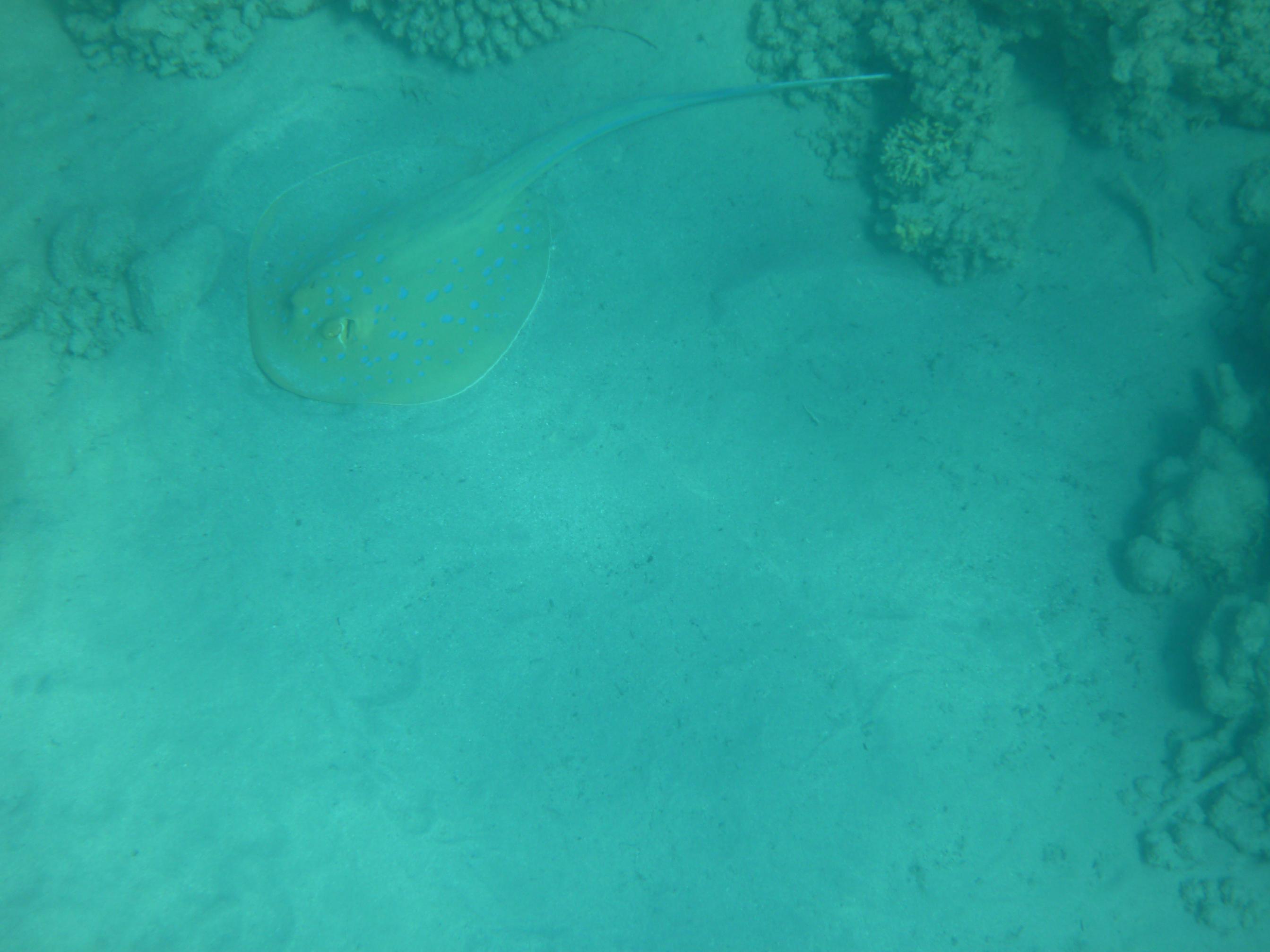 P1020561.jpg