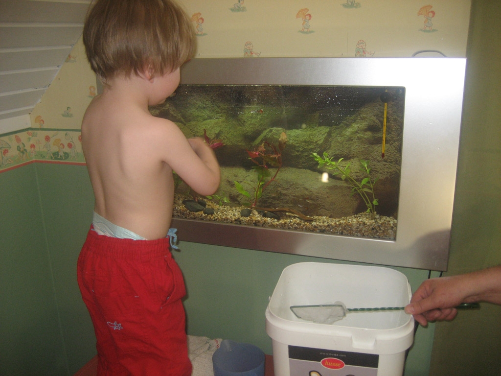 max kollar akvariet.JPG