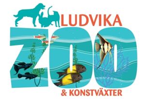 Ludvikazoo.jpg