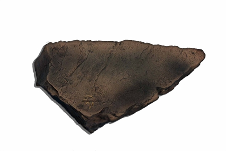 aquaterra_d_sand.jpg