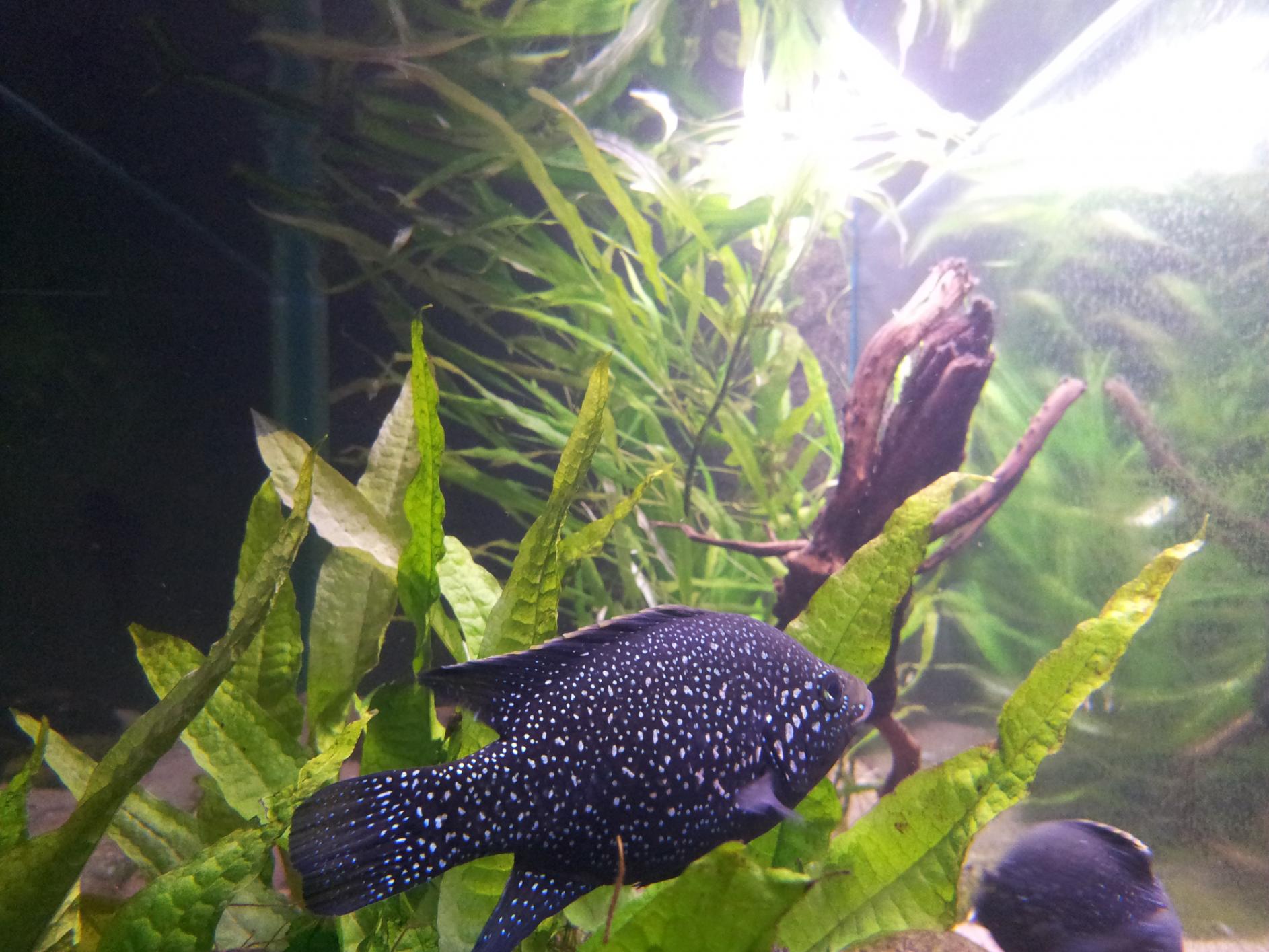 20130807_214926.jpg