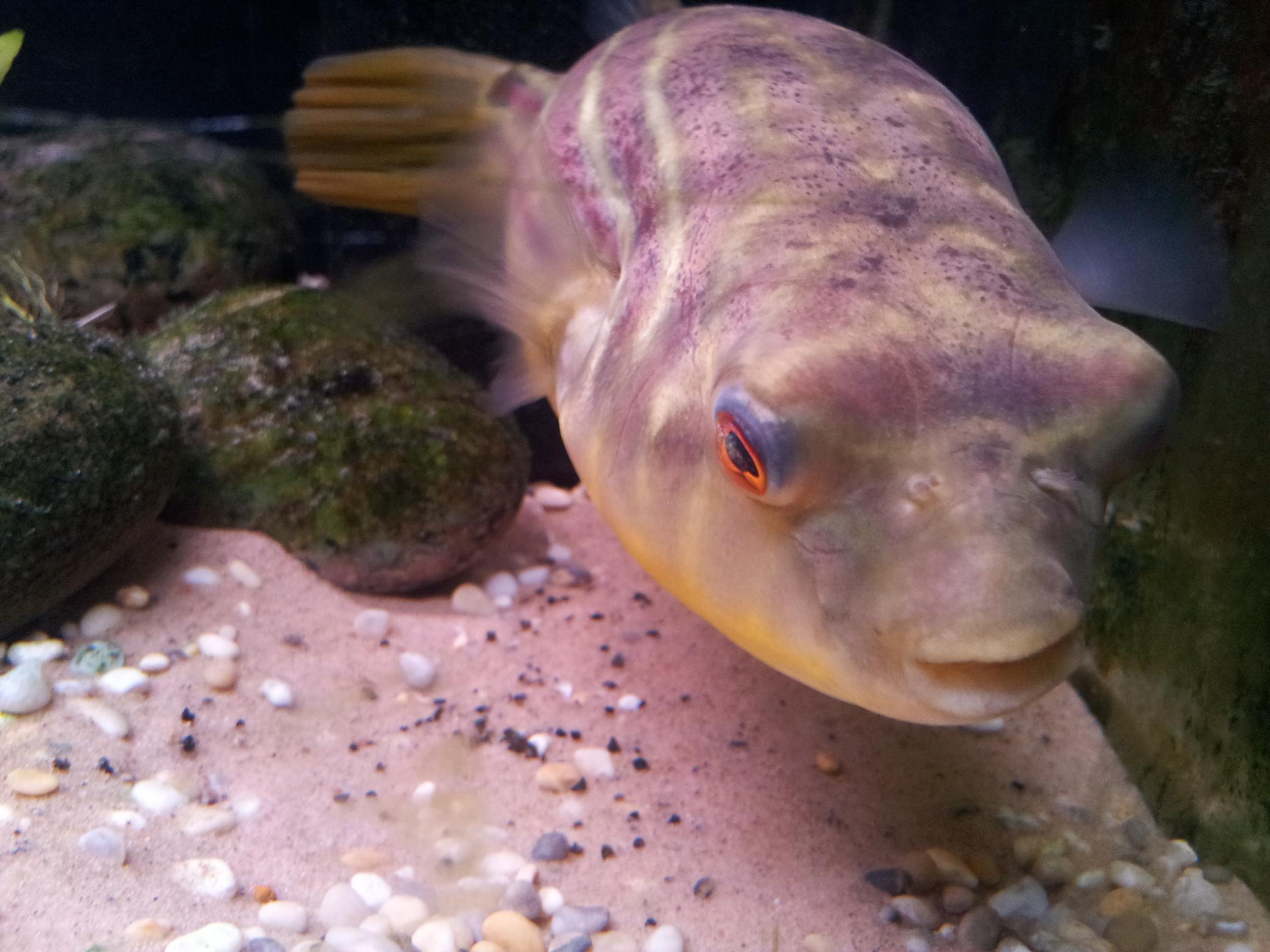 20121212_172232.jpg