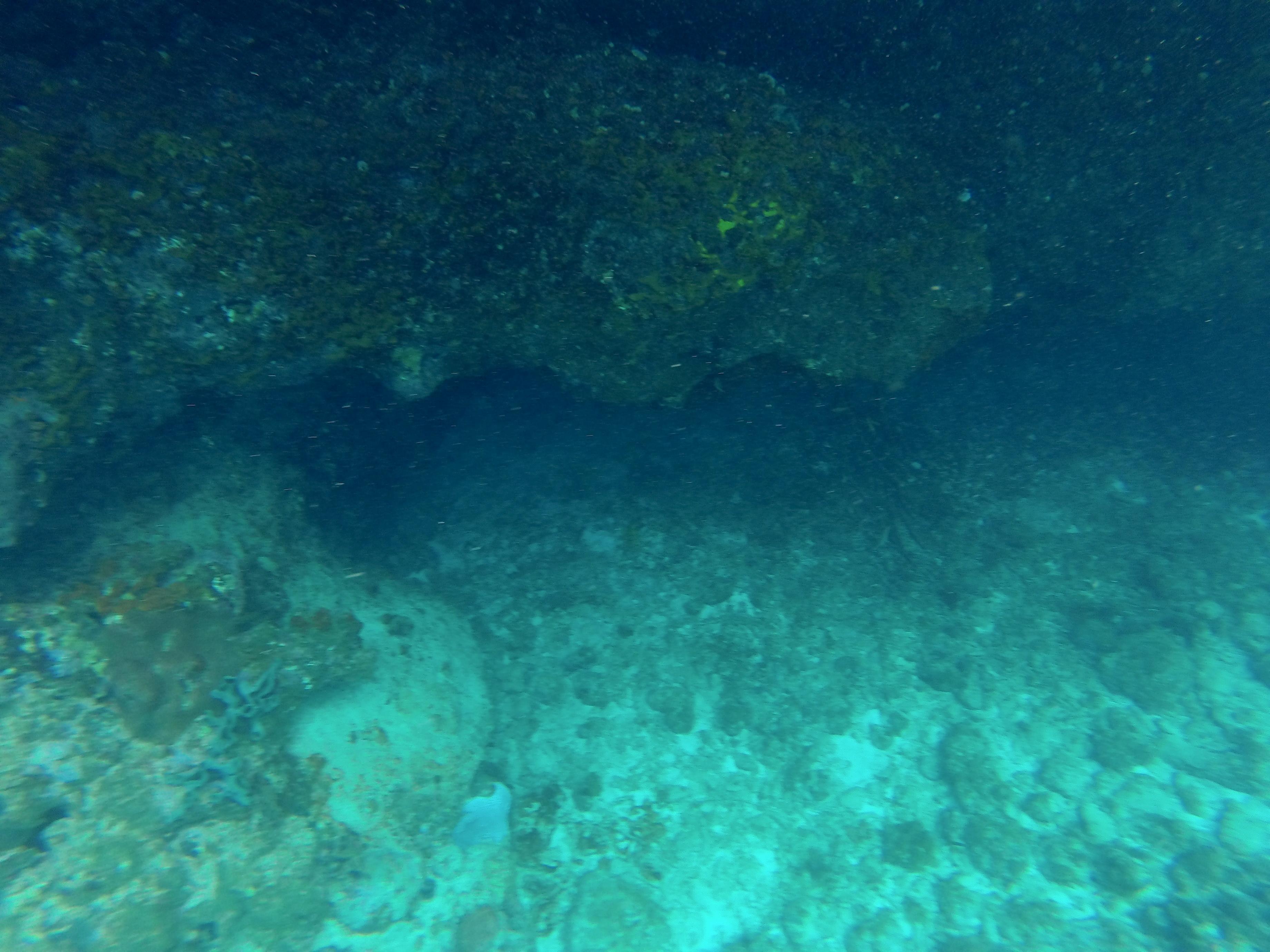 Lionfish-cave-Cas_abao-1.jpg