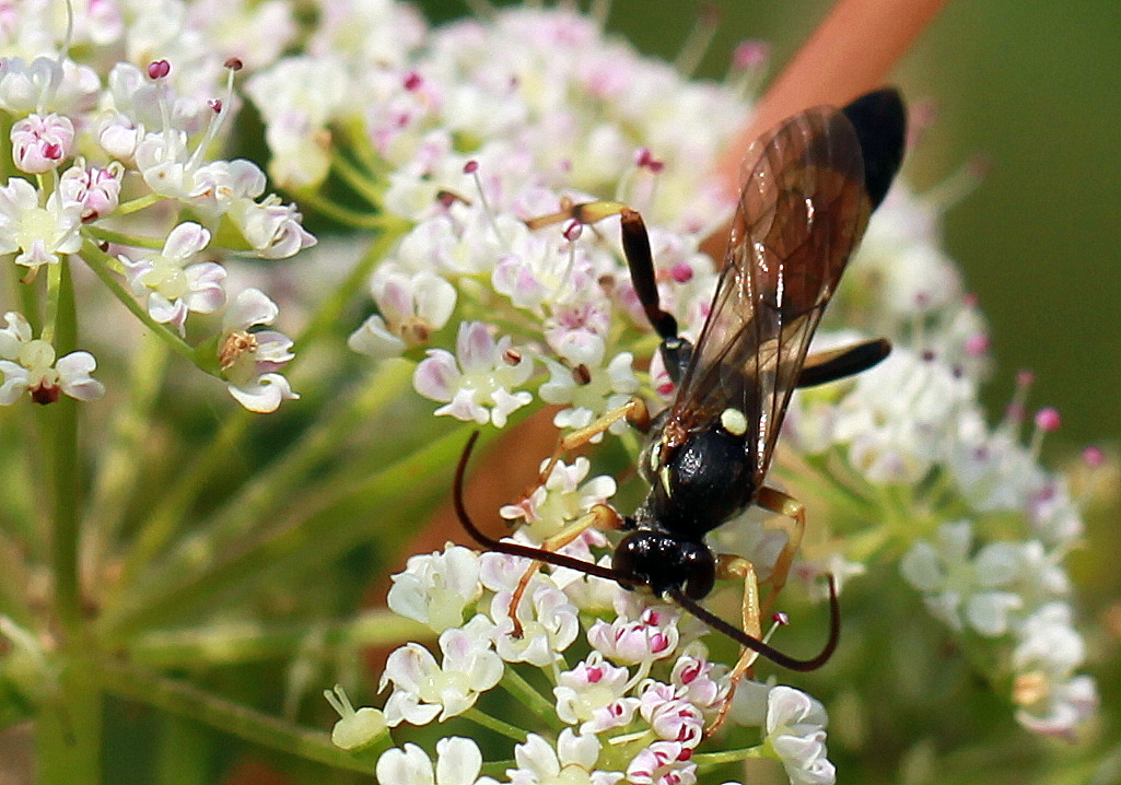 IMG_6626.JPG
