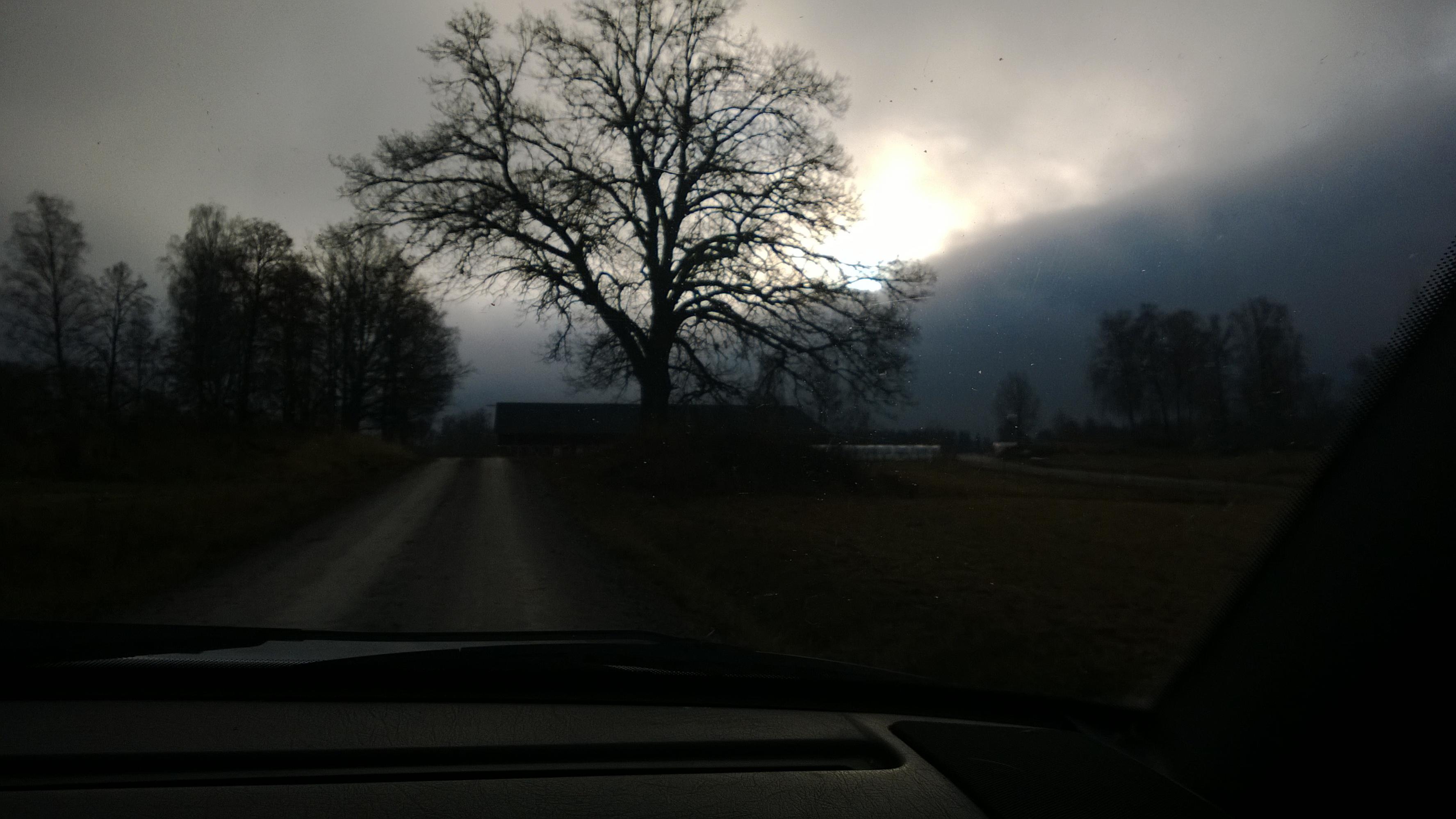 WP_20131105_011.jpg