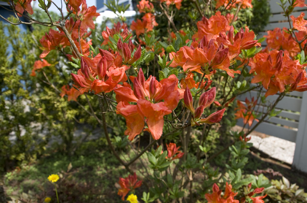 DSC_9205.JPG