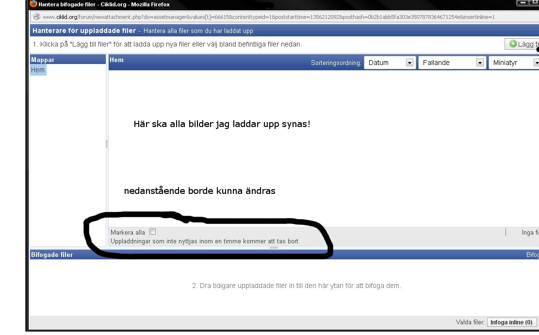 upp1.jpg
