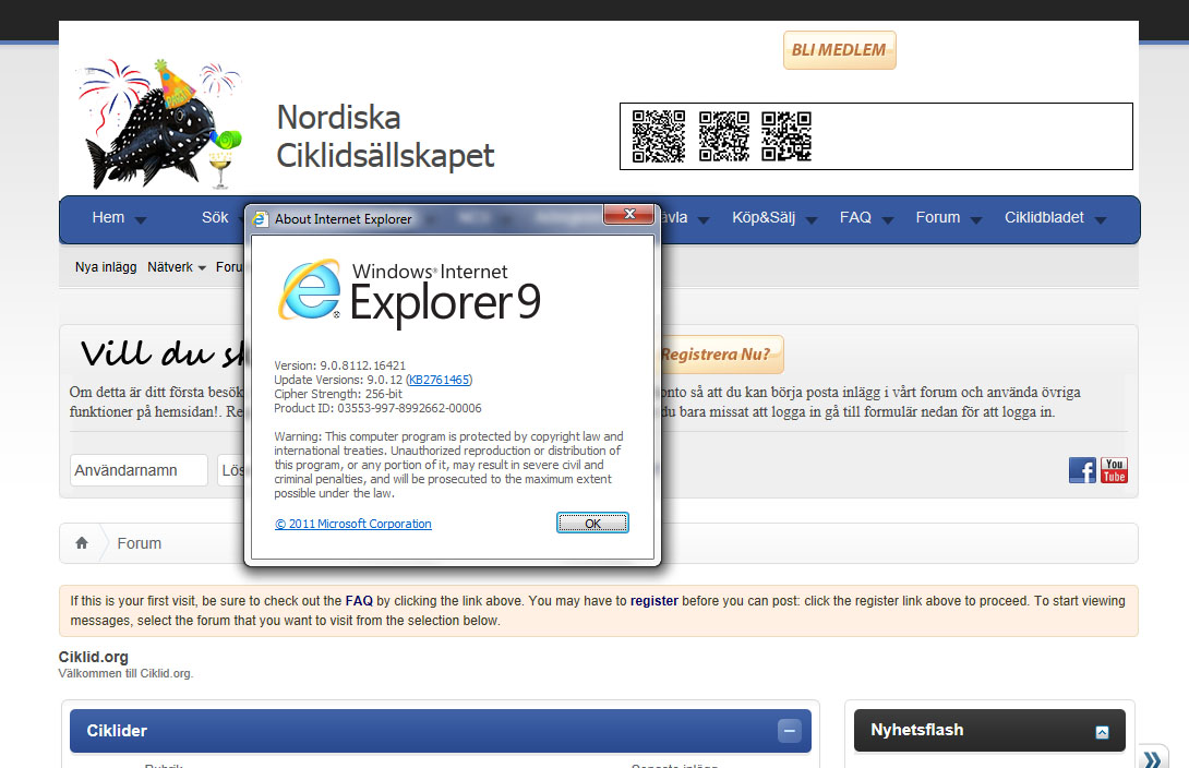 ie9_forum.jpg
