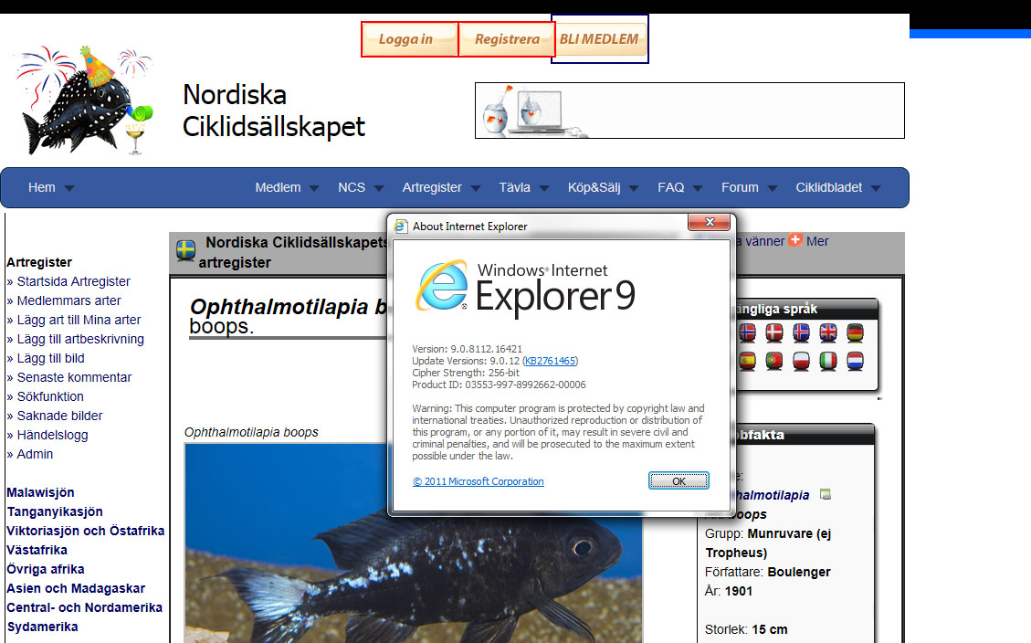 ie_artreg.jpg