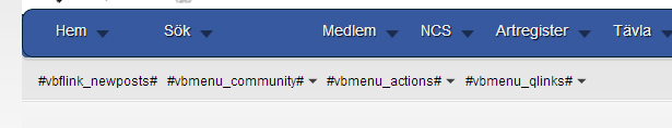 ncs_meny.jpg