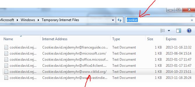 IE-Cookie-files.JPG
