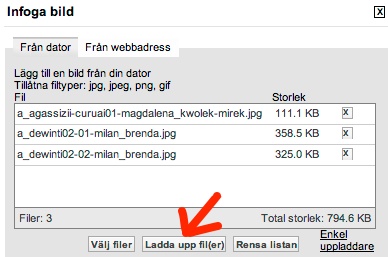 infogabild2.jpg