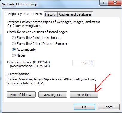 IE-view-files.JPG
