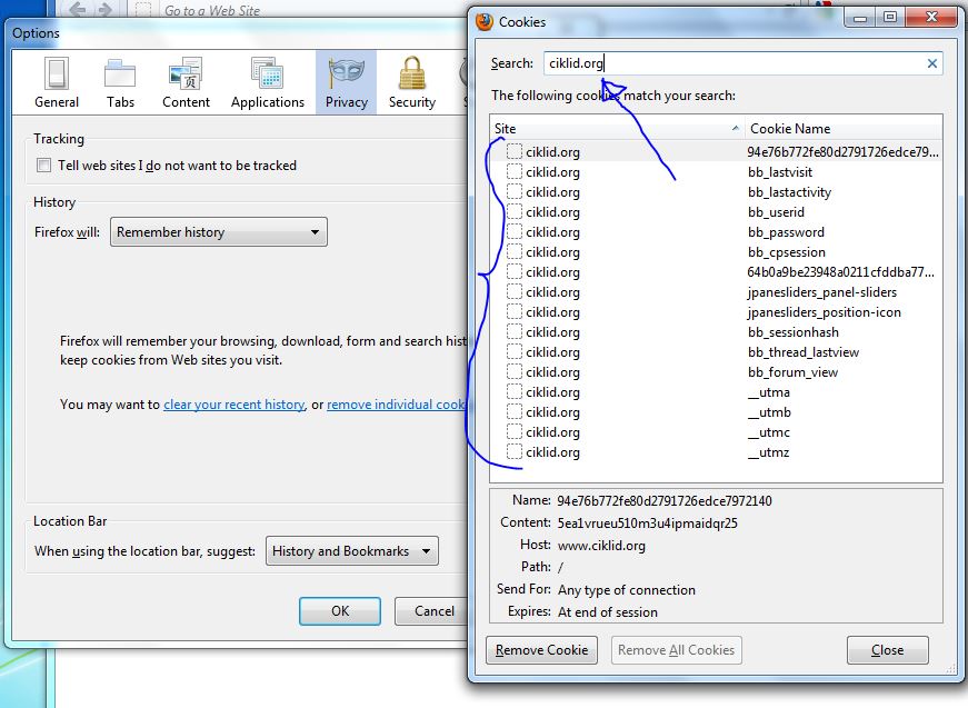 Firefox-Options-Privacy-Cookies.JPG