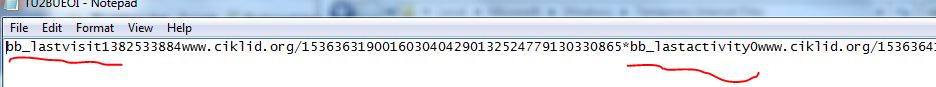 IE-inside-cookie.JPG