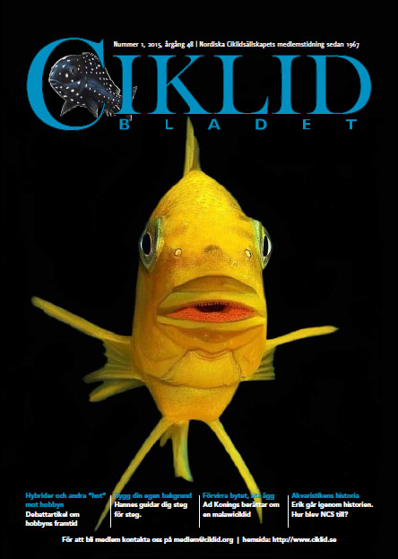 cb1-15.jpg