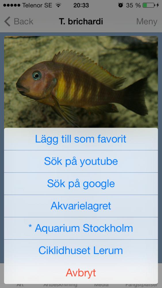 Screenshot 2013.12.22 20.33.09.jpg