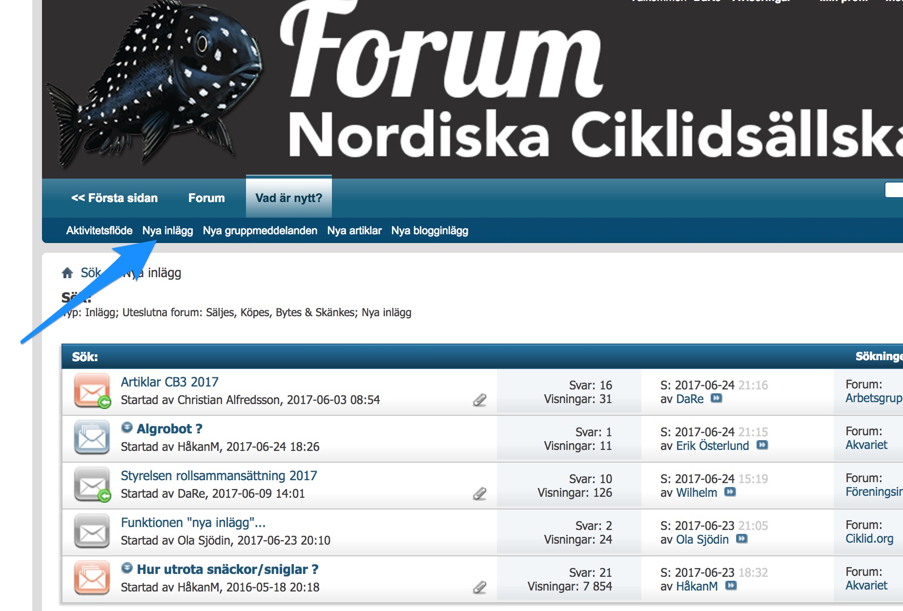 So&#776;kresultat_-_Ciklid_org.jpg