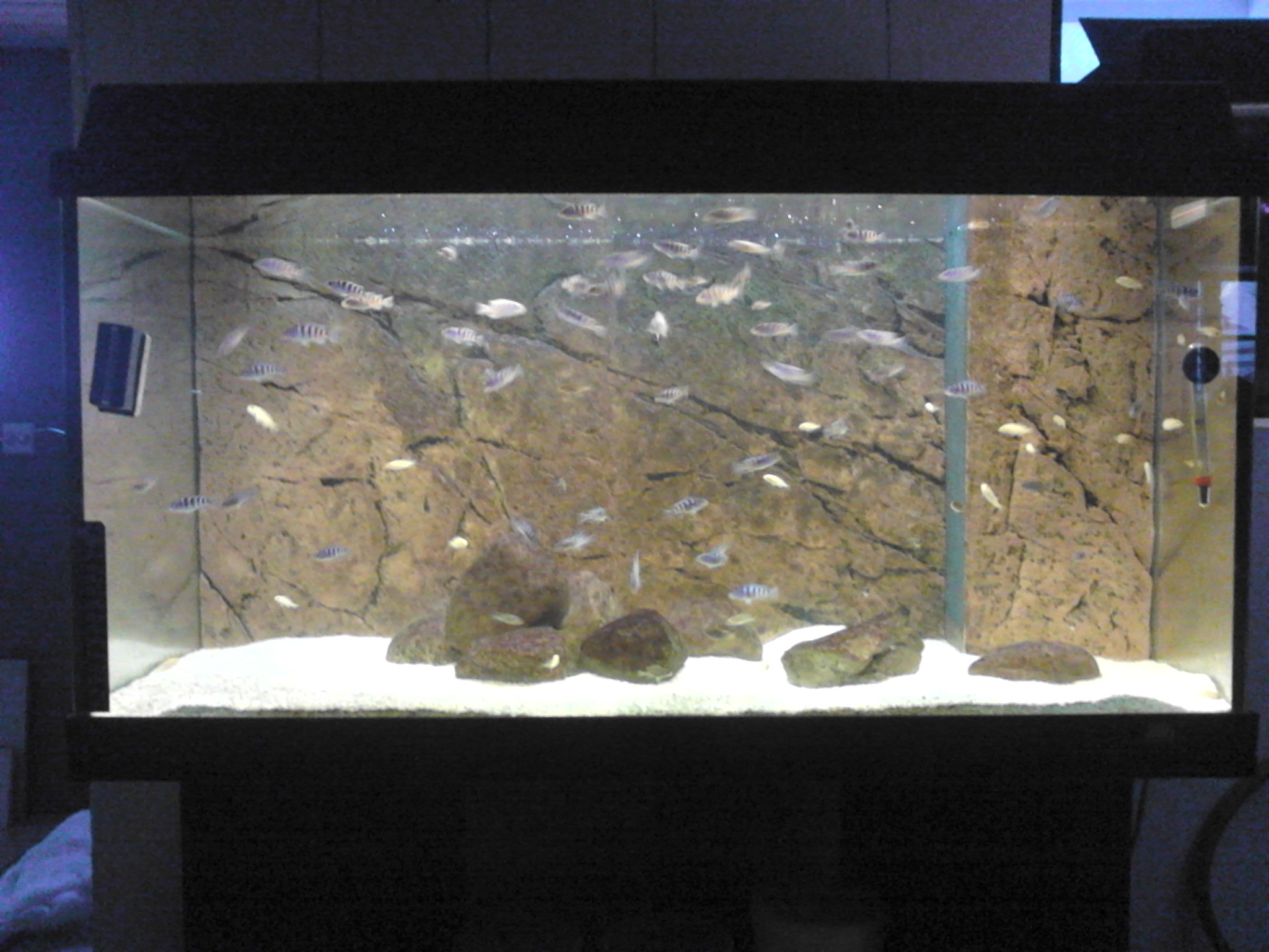 20130118 mobil 025.jpg