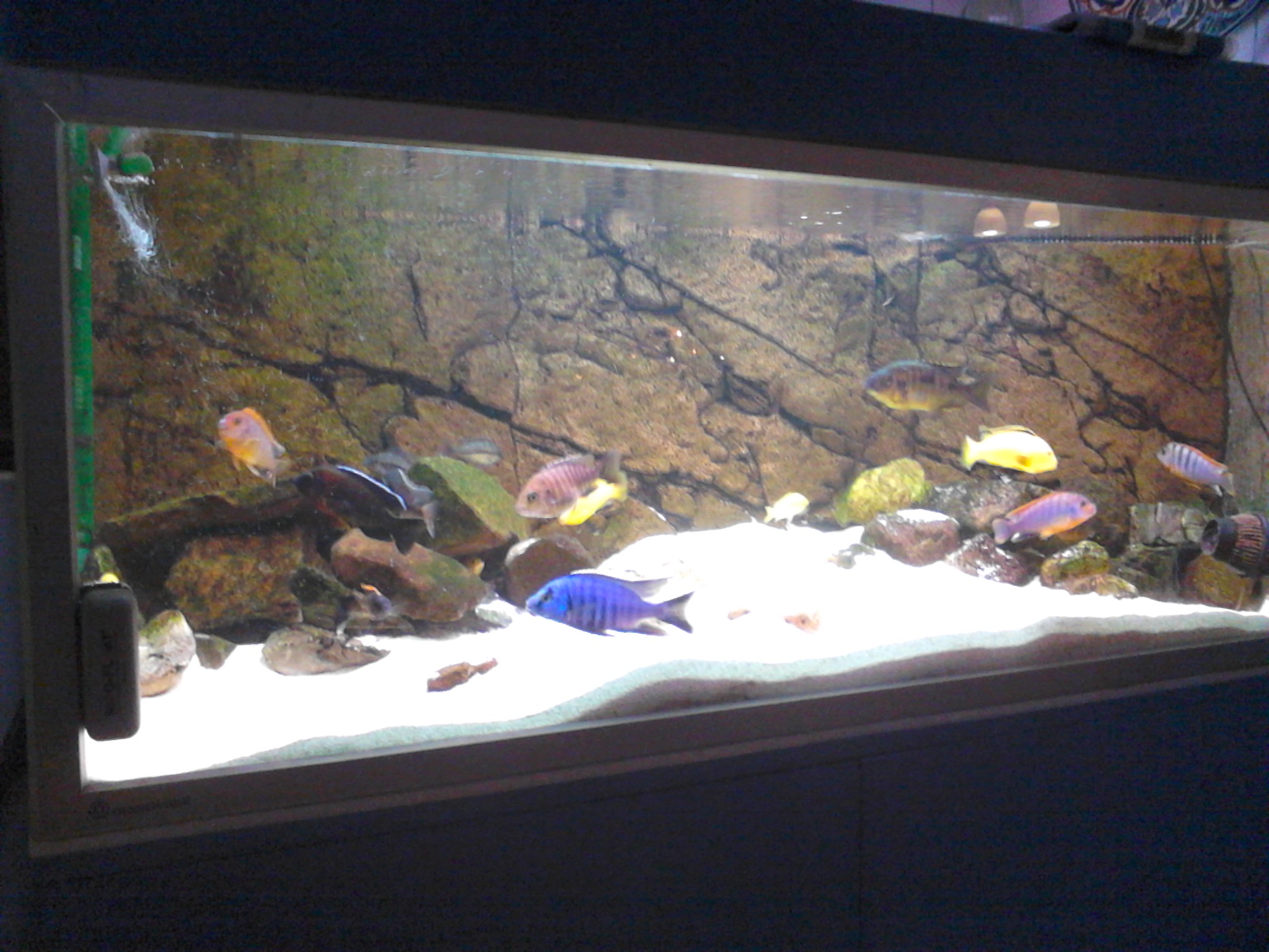 20130118 mobil 023.jpg