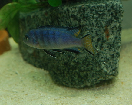 LDSC_0152.jpg