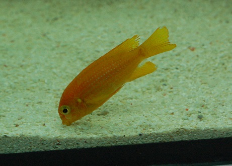 LDSC_0113.jpg