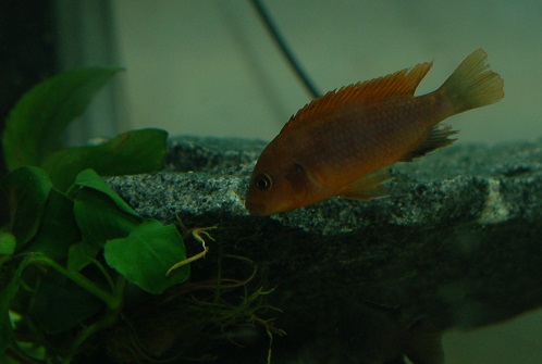 LDSC_0130.jpg