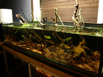 P2150007.JPG