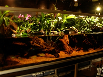 P2150010.JPG