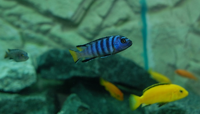 LDSC_0349.jpg