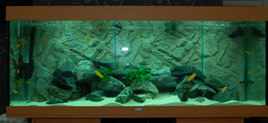 LDSC_0274.jpg