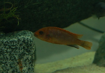 LDSC_0217.jpg