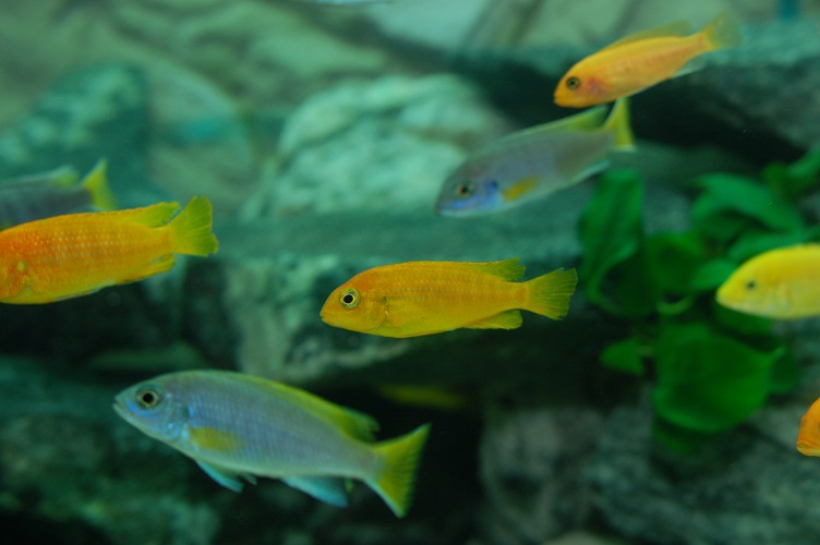 LDSC_0285.jpg