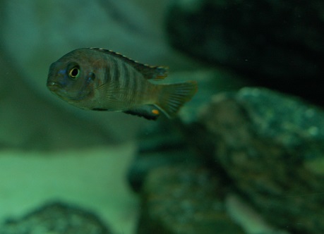 LDSC_0360.jpg