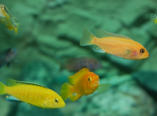 LDSC_0328.jpg