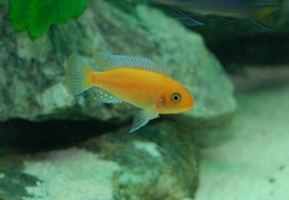LDSC_0339.jpg