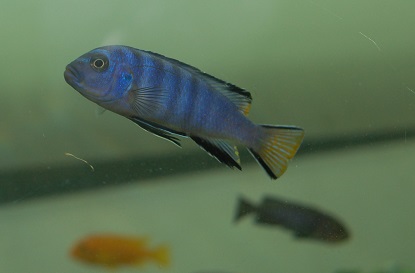 LDSC_0249.jpg