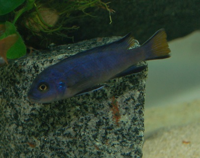 LDSC_0219.jpg