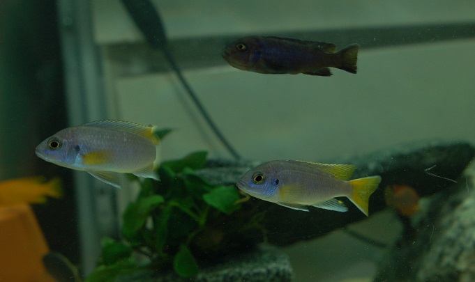LDSC_0230.jpg