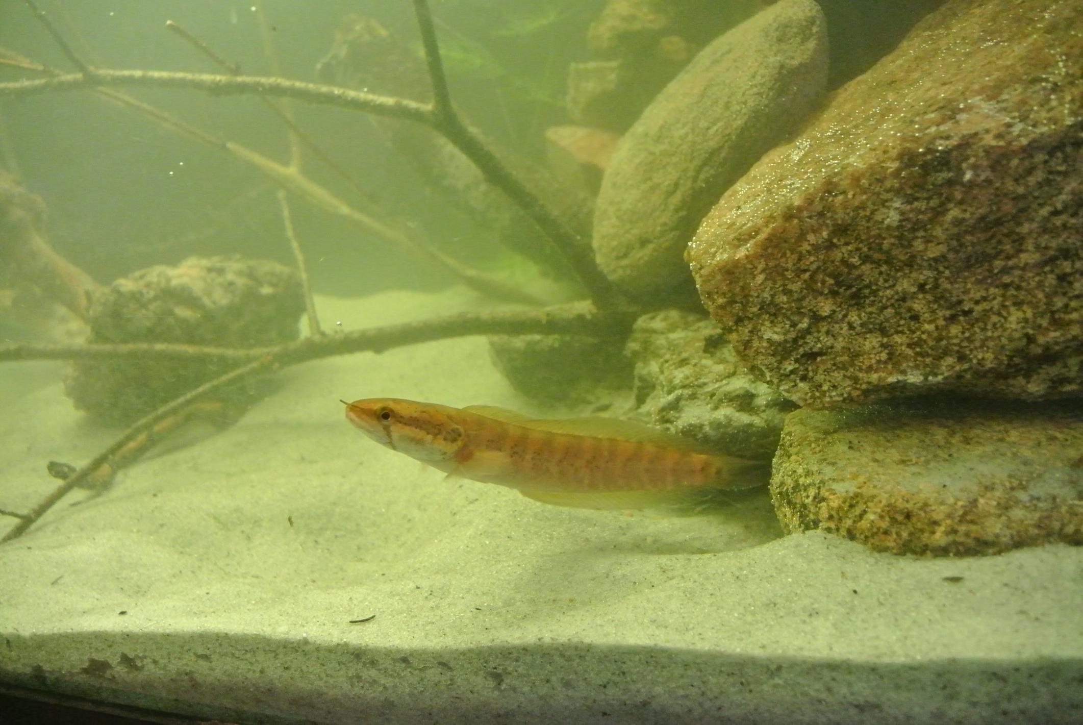 DSC_0972.jpg
