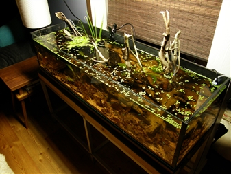 P2150036.JPG