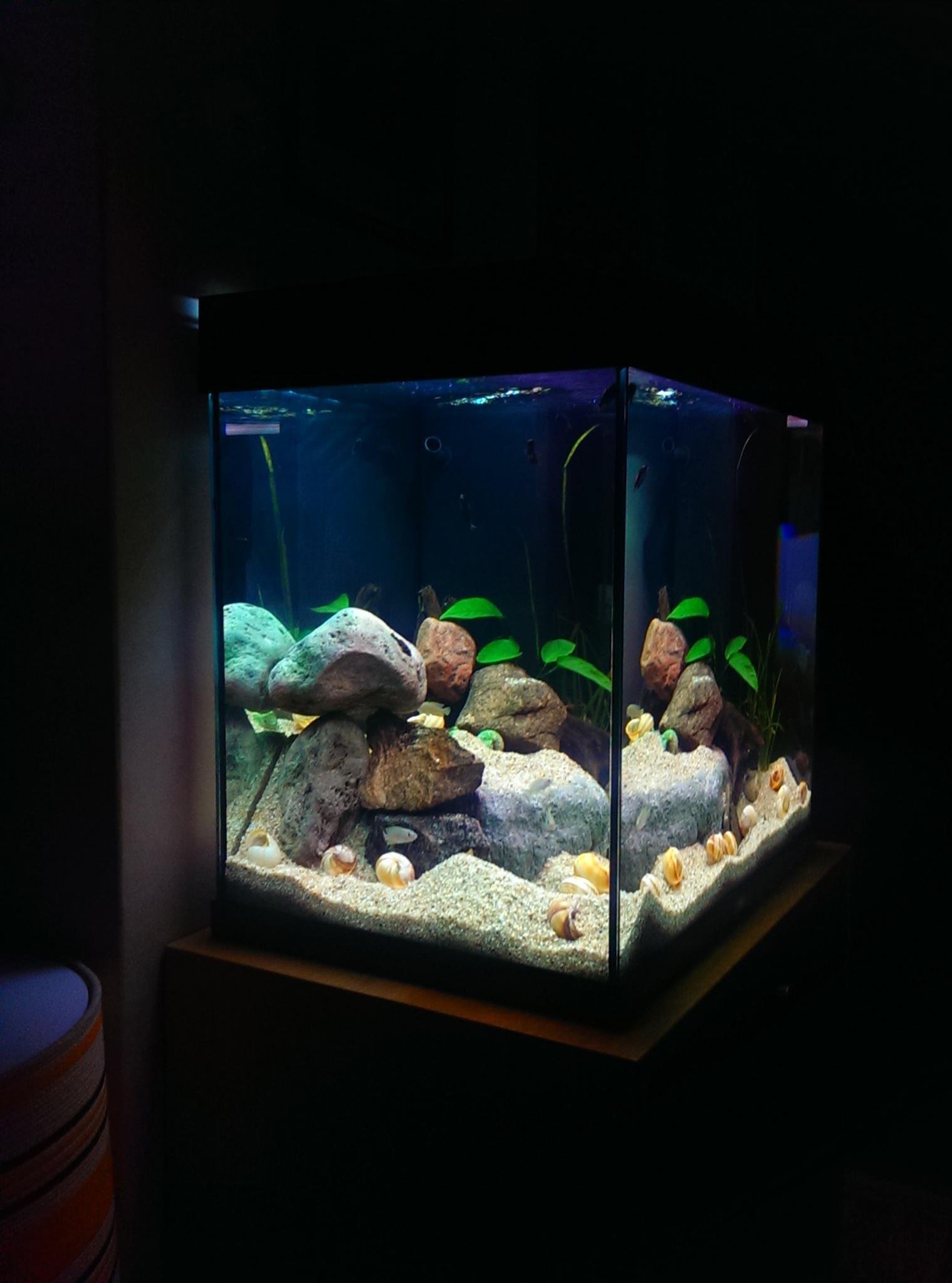 IMAG1304.jpg