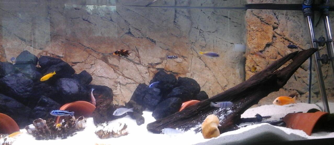 2014-12-26_14.12.21.jpg