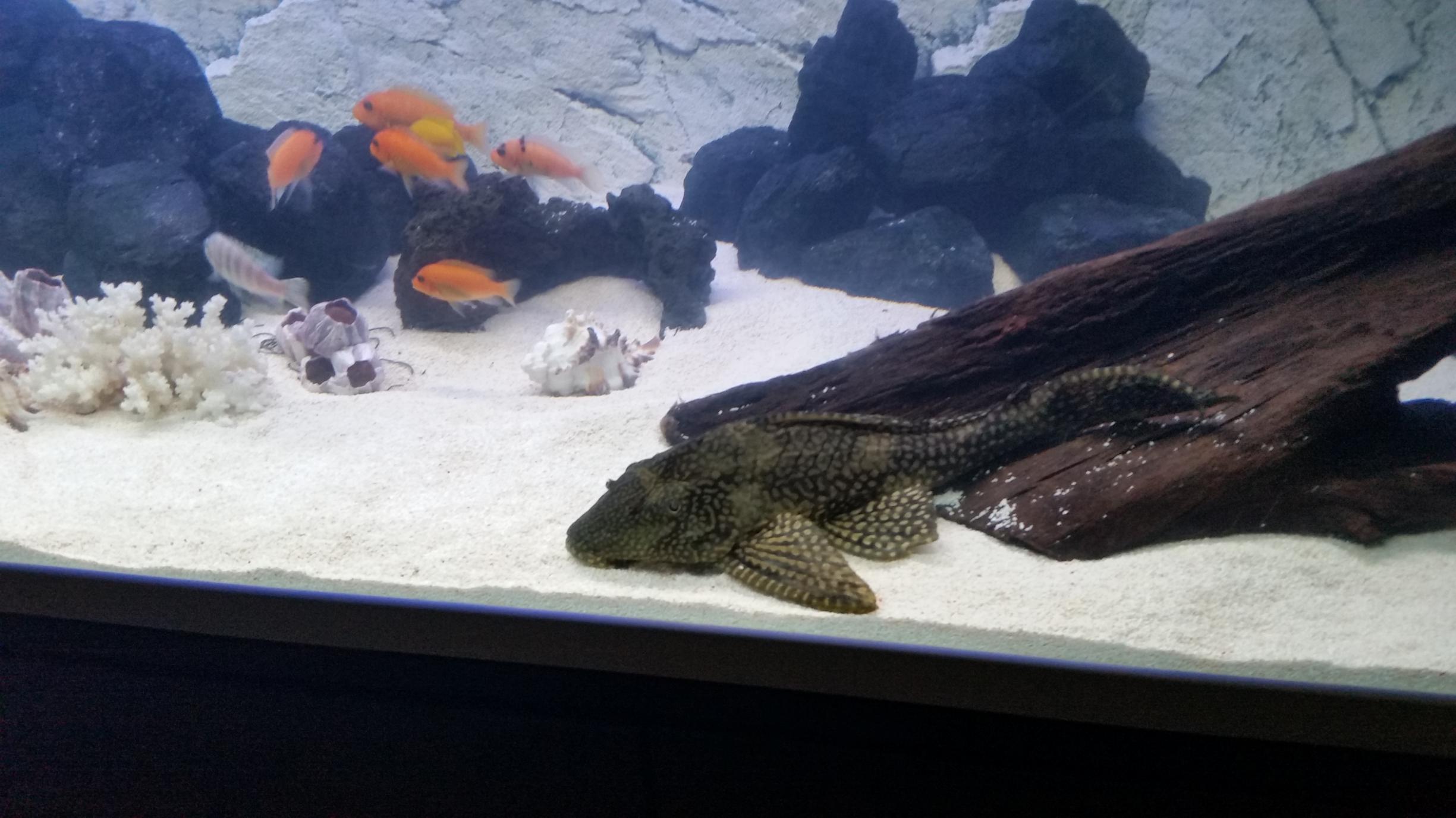 20141210_181237.jpg