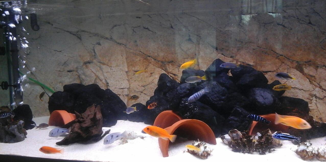 2014-12-26_14.12.49.jpg