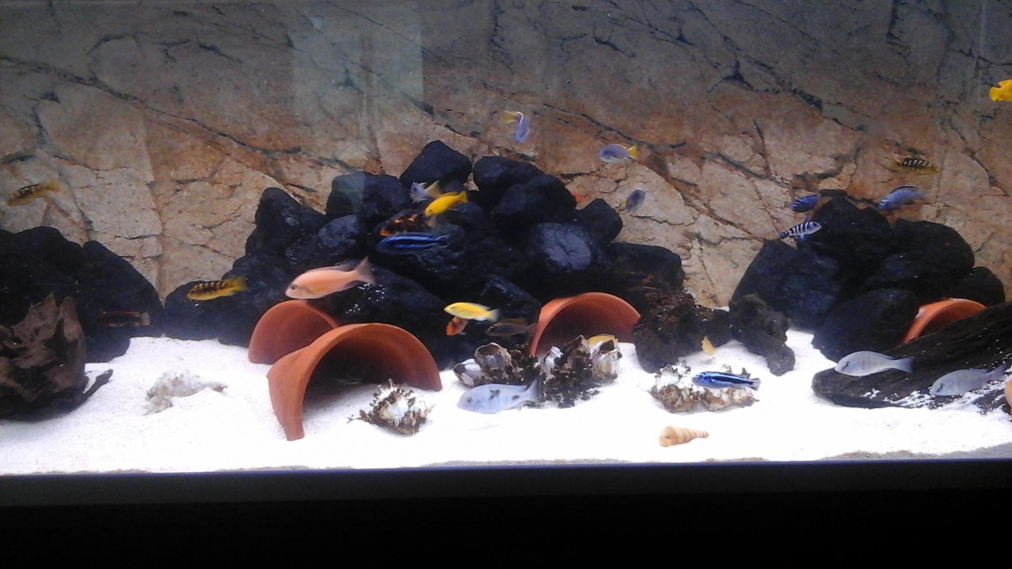 20141226_134355.jpg