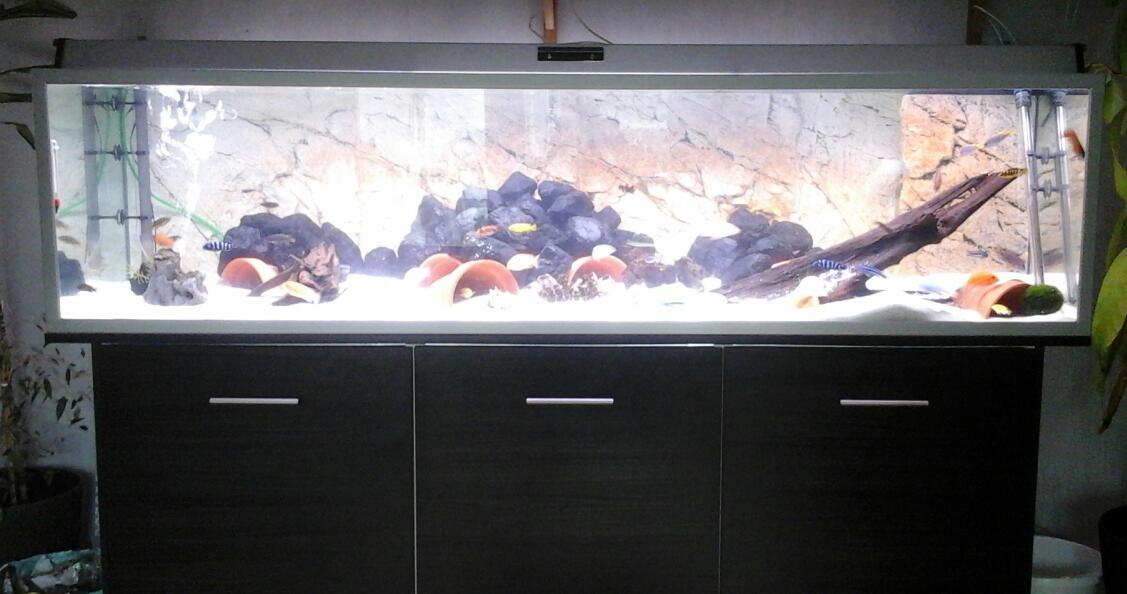 2014-12-26_14.03.17.jpg