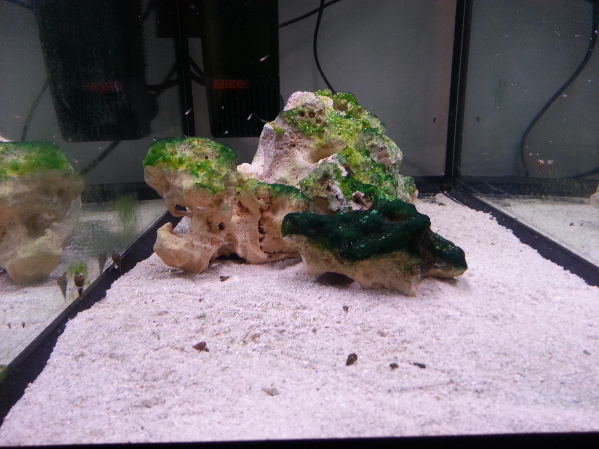 20141101_204414.jpg