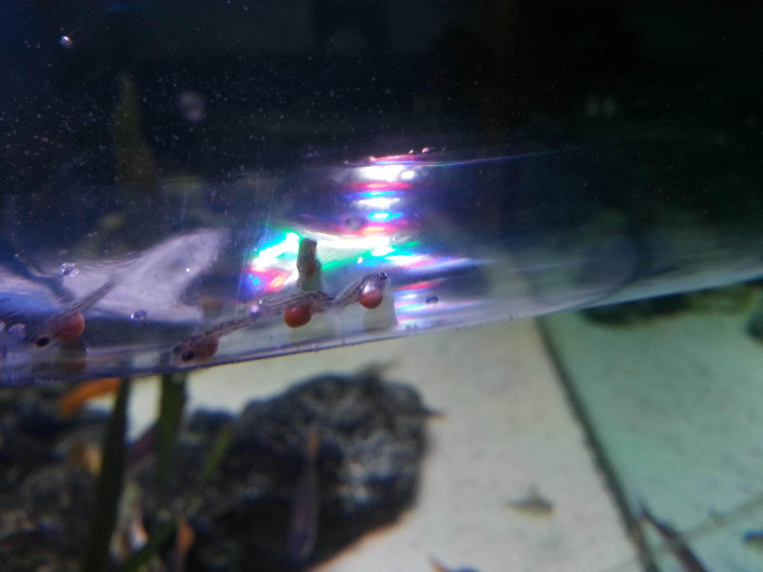 20141101_210941.jpg