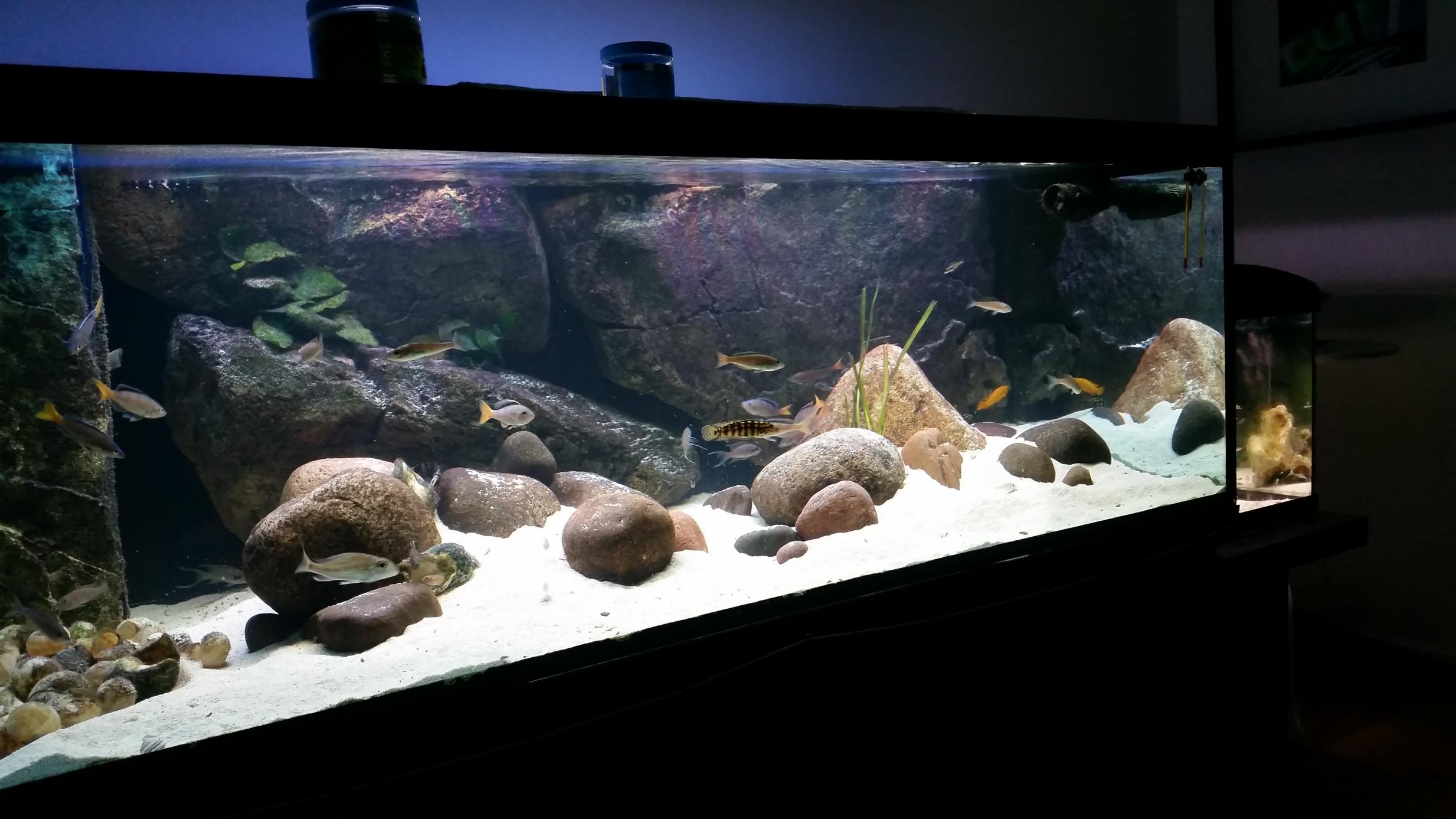 20150518_221455.jpg